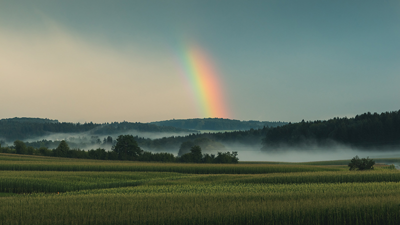 Rainbow