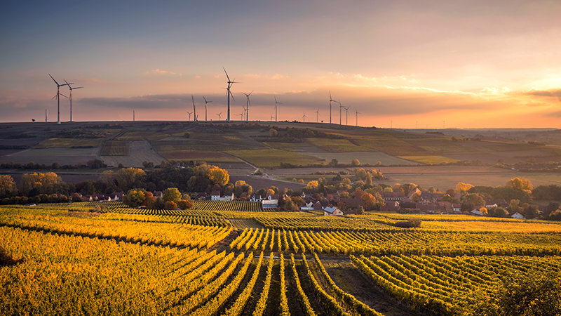 Wind Farm