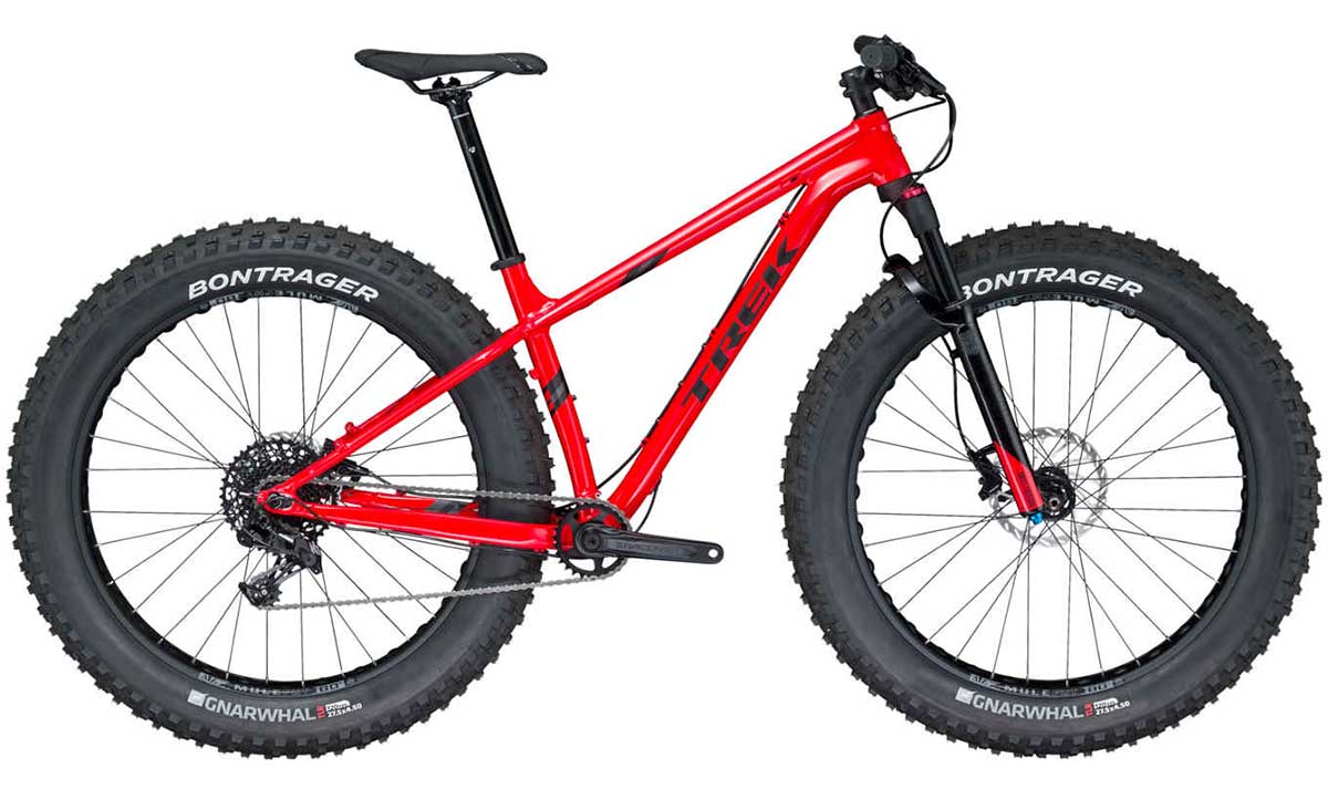 Farley Mountain Bike