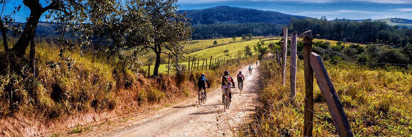 Group of Cyclists